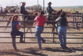 Hoffmann Ranch Branding, 2003 - After the Gather