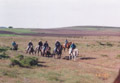 Hoffmann Ranch Branding, 2003 - An Early Start