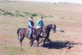 Hoffmann Ranch Branding, 2003 - Daryl Hopson and Sandi Hopson