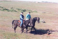 Hoffmann Ranch Branding, 2003 - Daryl Hopson and Sandi Hopson