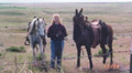 Hoffmann Ranch Branding, 2003 - Kathleen Obenland with Firetok and Amunicja