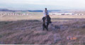 Hoffmann Ranch Branding, 2003 - Daryl On His Own