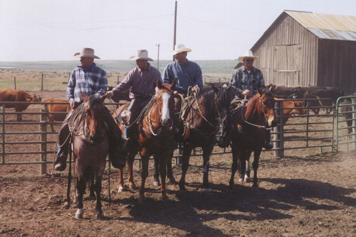 A Good Start to the Day, Hoffmann Ranch Branding, 2003