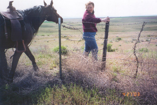 Hoffmann Ranch Branding, 2003 - Amunicja and Cynthia